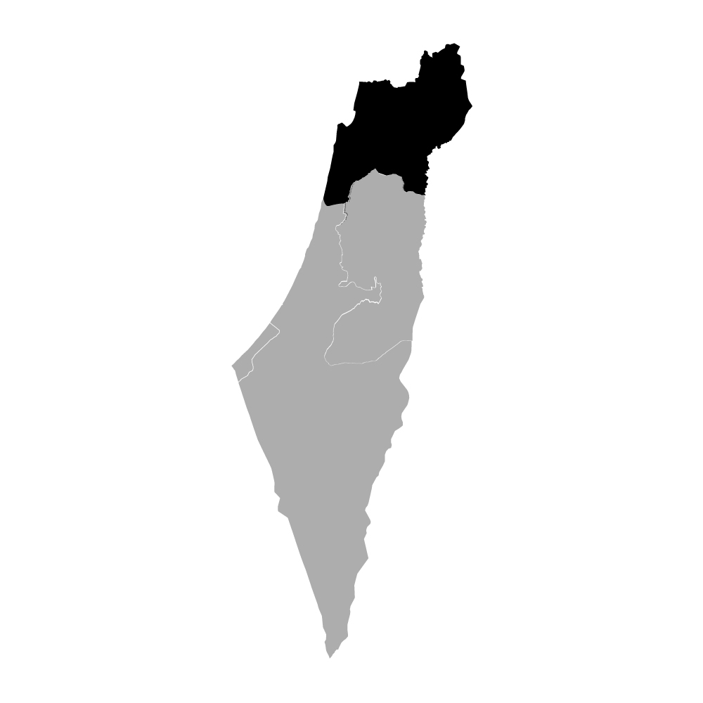 אזורי-שירות